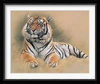 Tiger [Ed 195] Fine Art Print