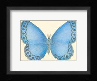 Butterfly IV Fine Art Print