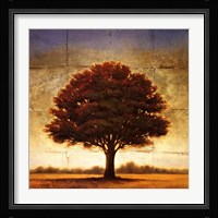 Splendor I Fine Art Print