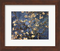 Blossoming Almond Tree, Saint-Remy, c.1890 Fine Art Print