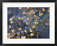 Blossoming Almond Tree, Saint-Remy, c.1890 Fine Art Print