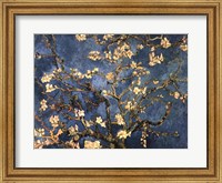 Blossoming Almond Tree, Saint-Remy, c.1890 Fine Art Print