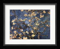 Blossoming Almond Tree, Saint-Remy, c.1890 Fine Art Print