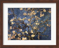 Blossoming Almond Tree, Saint-Remy, c.1890 Fine Art Print