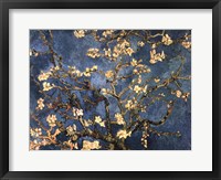 Blossoming Almond Tree, Saint-Remy, c.1890 Fine Art Print