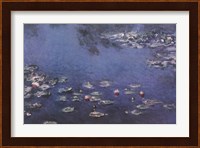 Waterlillies Fine Art Print