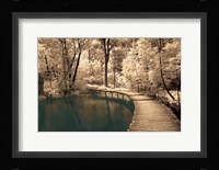 Take My Lead I Fine Art Print