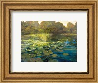 Waterlilies Fine Art Print