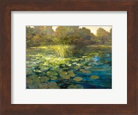 Waterlilies Fine Art Print