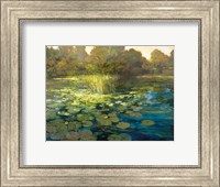 Waterlilies Fine Art Print