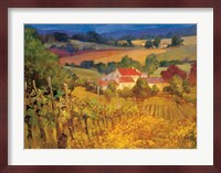 Vineyard Hill Fine Art Print