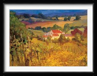 Vineyard Hill Framed Print