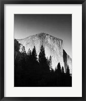 El Capitan In Trees Giclee