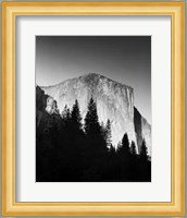 El Capitan In Trees Giclee