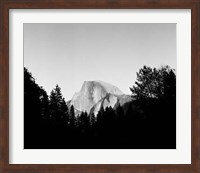 Half Dome In Trees Giclee