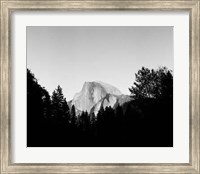 Half Dome In Trees Giclee