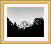 Half Dome In Trees Giclee