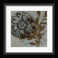 Dusty Rosettes II Framed Print