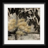 Nature's Breath II Framed Print
