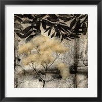 Nature's Breath III Framed Print