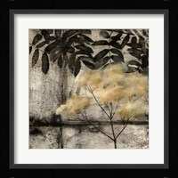 Nature's Breath IV Framed Print