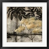 Nature's Breath IV Framed Print