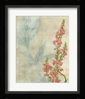 Spring Harvest II Framed Print