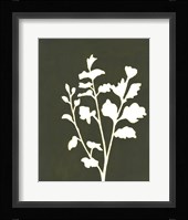 Four Seasons Foliage II Framed Print