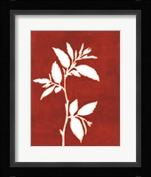 Four Seasons Foliage III Framed Print