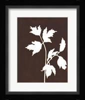 Four Seasons Foliage IV Framed Print