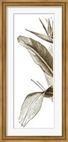 Bird Of Paradise Triptych I Giclee