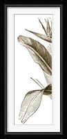 Bird Of Paradise Triptych I Giclee
