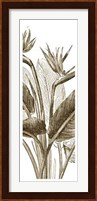 Bird Of Paradise Triptych II Giclee