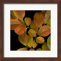 Vivid Leaves I Giclee