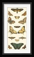 Butterfly Panel I Giclee