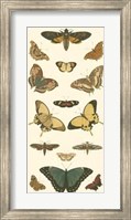 Butterfly Panel I Giclee