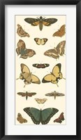 Butterfly Panel I Giclee