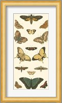 Butterfly Panel I Giclee