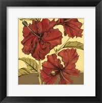 Cropped Sophisticated Hibiscus I Fine Art Print