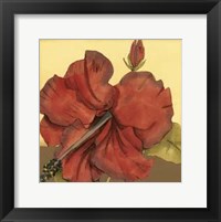 Cropped Sophisticated Hibiscus III Fine Art Print