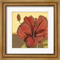 Cropped Sophisticated Hibiscus IV Fine Art Print