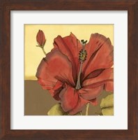 Cropped Sophisticated Hibiscus IV Fine Art Print