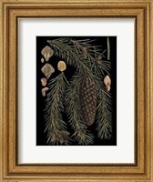 Small Dramatic Conifers III Fine Art Print