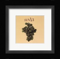 Italian Fruit IV Framed Print