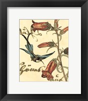 Small Hummingbird Reverie I Fine Art Print