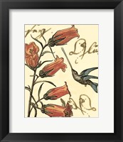 Small Hummingbird Reverie II Fine Art Print