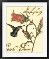Small Hummingbird Reverie III Fine Art Print