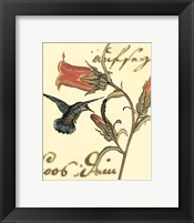 Small Hummingbird Reverie III Fine Art Print