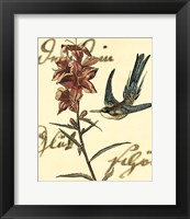 Small Hummingbird Reverie IV Fine Art Print