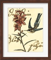 Small Hummingbird Reverie IV Fine Art Print